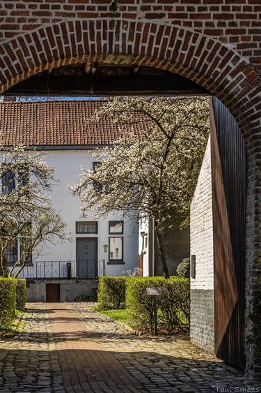 Lente in de pastorijtuin - Bocholt