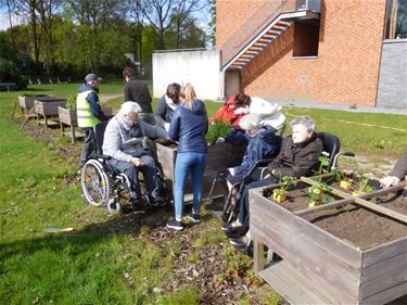 Lente in de 'warme tuin' van Ocura - Beringen