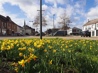 Lente in Paal - Beringen