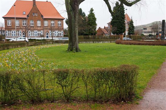 Lente in zicht - Beringen