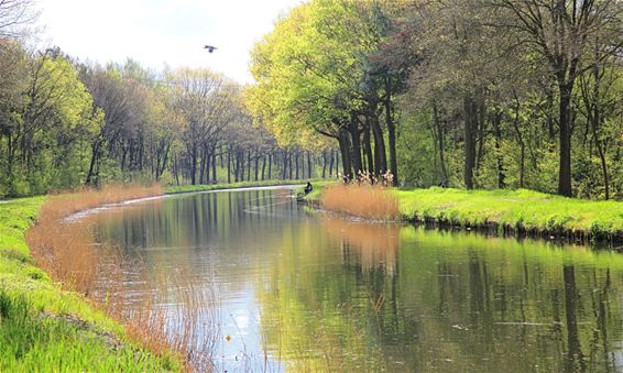 Lente langs het kanaal - Lommel