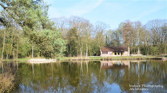 Lente ontwaakt aan Begijnenvijver - Hechtel-Eksel