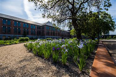 Lente op be-MINE - Beringen