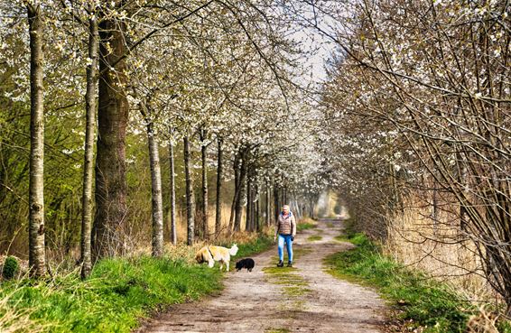 Lentefoto's uit onze stad - Lommel