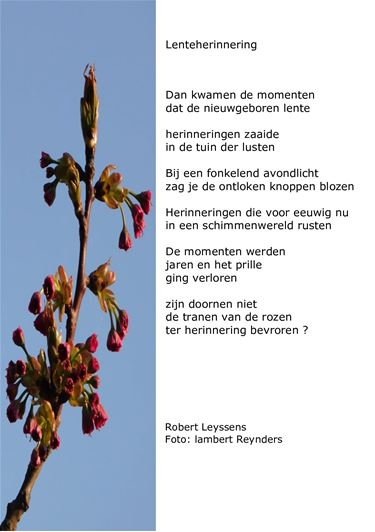 Lenteherinnering - Beringen & Leopoldsburg