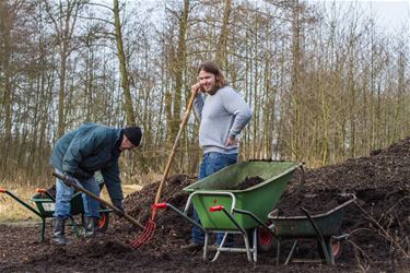 Lentekriebels in de volkstuintjes van Beringen - Beringen