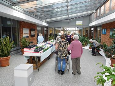 Lentemarkt in Ocura - Beringen