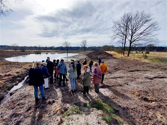 Lentewandeling in natuurgrenspark De Groote Heide - Hamont-Achel