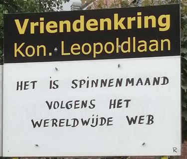 Leve de spinnen! - Lommel