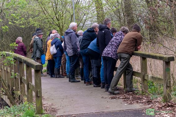 Leven in de Dommel - Pelt