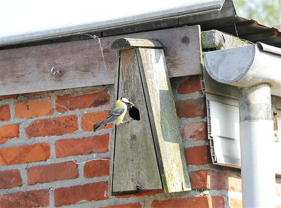 Levering aan huis... - Lommel