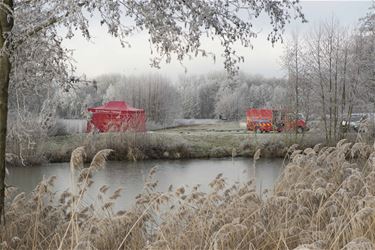 Lichaam gevonden aan Paalse Plas - Beringen