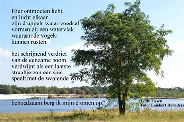 Licht en lucht - Beringen