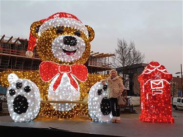 Licht in de straat (17) - Beringen