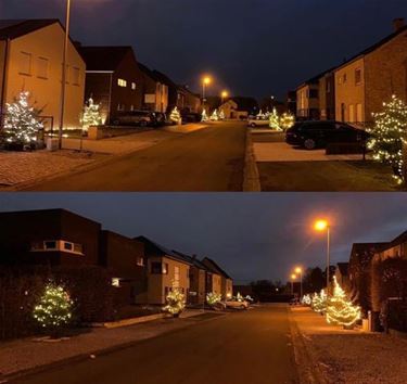 Licht in de straat (21) - Beringen