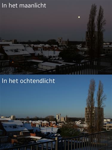 Lichtspeling - Beringen