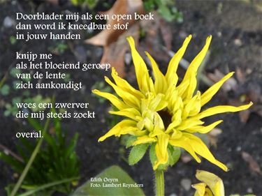 Liefde en lente - Beringen