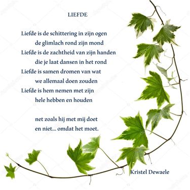 Liefde is... - Beringen