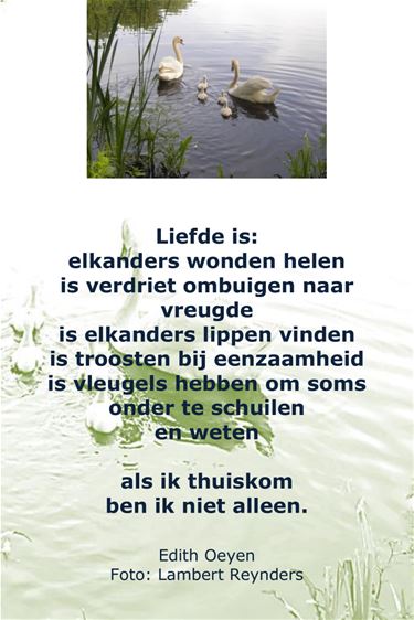 Liefde is... - Beringen