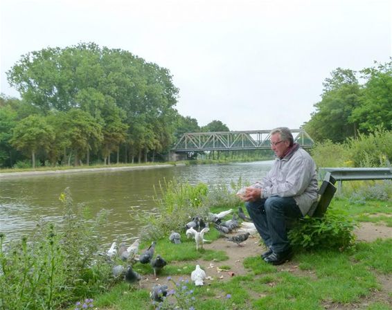 Liefde voor zwerfduiven - Neerpelt