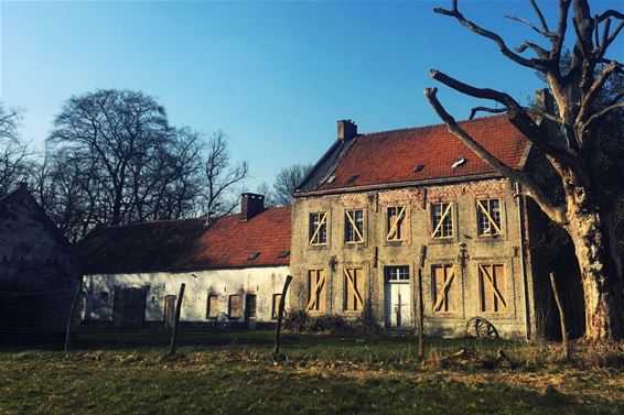 Liens kijk op Overpelt (2): het Hobos - Overpelt