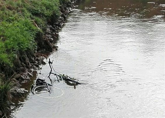 Liever eenden dan een wrak - Neerpelt