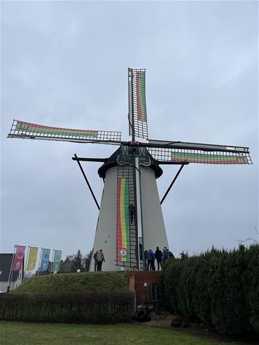Lilse Meulen in ’t roëd, geil en grun - Pelt