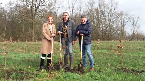 Limburg.net plant 2.400 bomen - Leopoldsburg