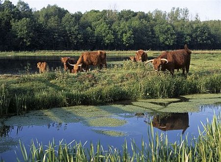 Limburgse landschapsfoto's in Dommelhof - Neerpelt