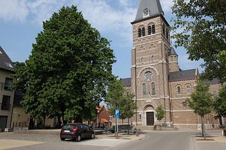 Linde voor de kerk wordt opgeknapt - Overpelt