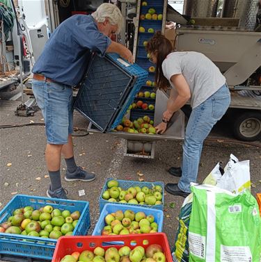 Lokaal appelsap dankzij Breugelhoeve-vrijwilligers - Peer