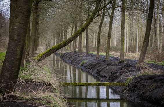 Lommel-Kolonie vandaag - Lommel