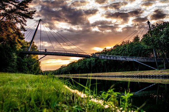 Lommel op zoek naar sterk en toekomstgericht merk - Lommel
