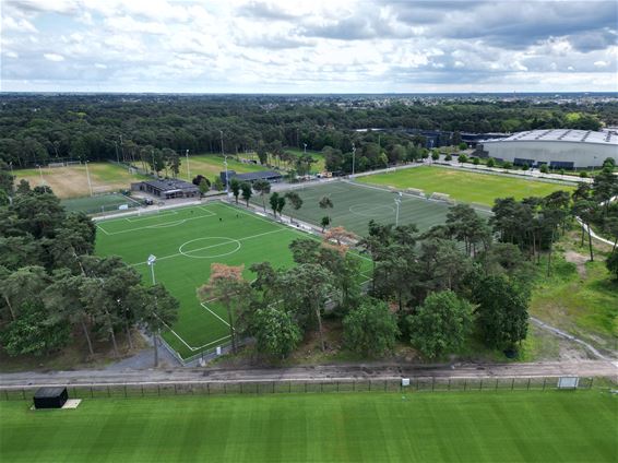 Lommel SK krijgt opnieuw jeugdlicentie - Lommel