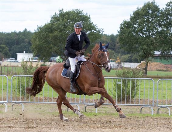 Lommels toppaard naar Amerikaans topruiter - Lommel