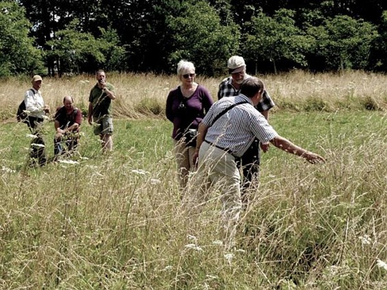 Lommelse vloeiweiden UNESCO-wereldcultuurerfgoed? - Lommel