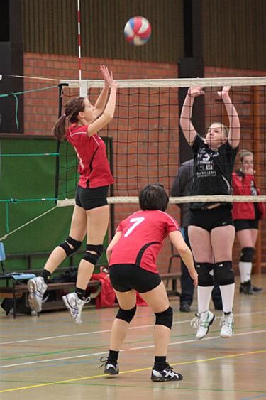 Lommelse volleydames op titelkoers - Lommel