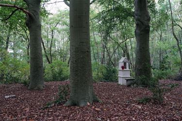 Looise Baalberg wordt natuurgebied - Beringen