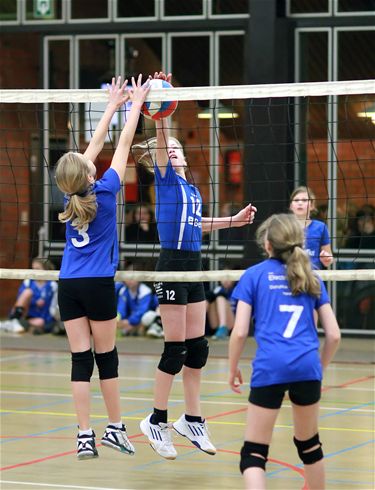 Lucalo jeugdvolleybaltornooi van start - Lommel