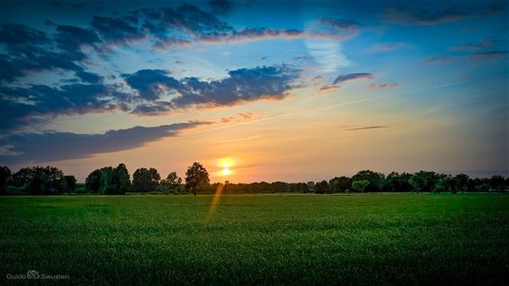 Lucht vol belofte - Pelt