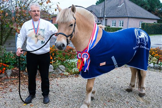 Ludo Van Esch valt in de prijzen met Grimm - Beringen