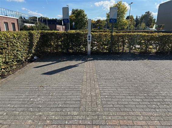 Parkeerconflict bij Syntra in de Hoekstraat - Pelt