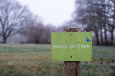 Maak een filmpje in de natuur - Beringen