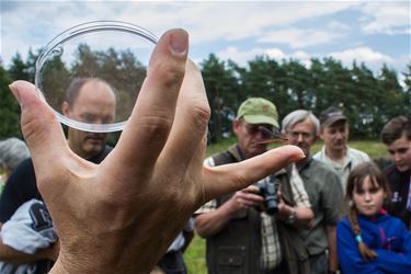 Maak kennis met Natuurpunt Beringen - Beringen