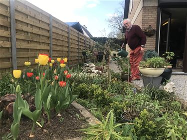 Maak van je tuin een lenteparadijs