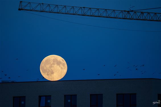 Maan op bezoek bij Noorderhart - Pelt