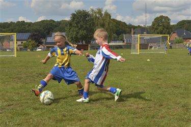 Maand van de sportclub - Beringen