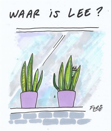 Maar de kat kwam weer (1)