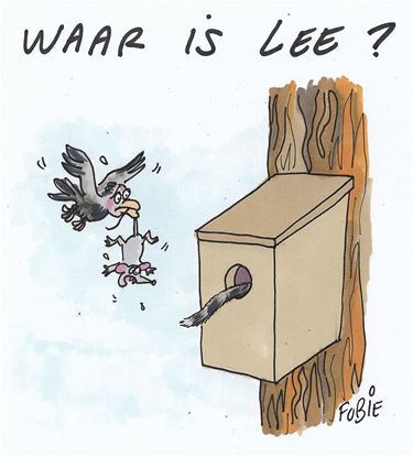 Maar de kat kwam weer (2)