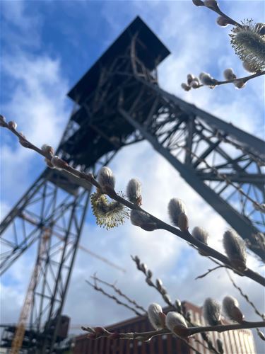 Maartse buien - Beringen